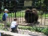 Kharkiv zoo 2.JPG - 